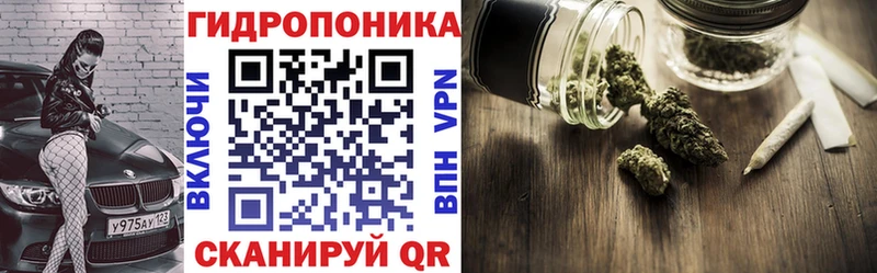 Где купить наркоту Саранск Канабис  mega как войти  СОЛЬ  ГАШИШ  COCAIN 
