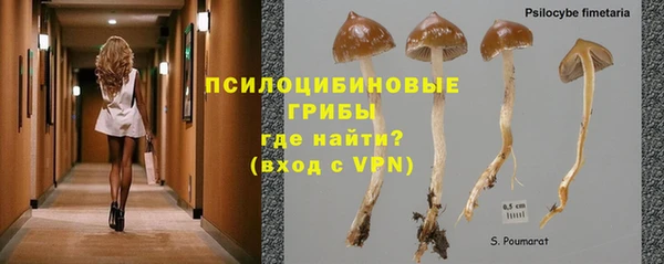 дмт Алексин