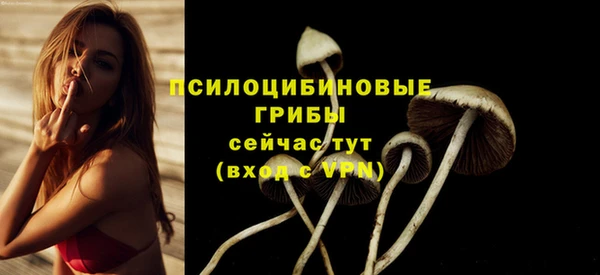 дмт Алексин