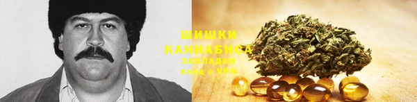 дмт Алексин