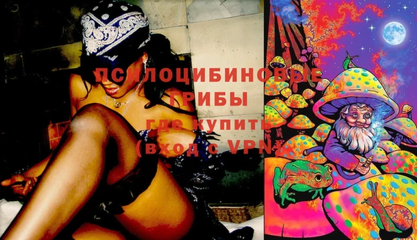 дмт Алексин